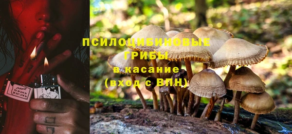 мескалин Алексин